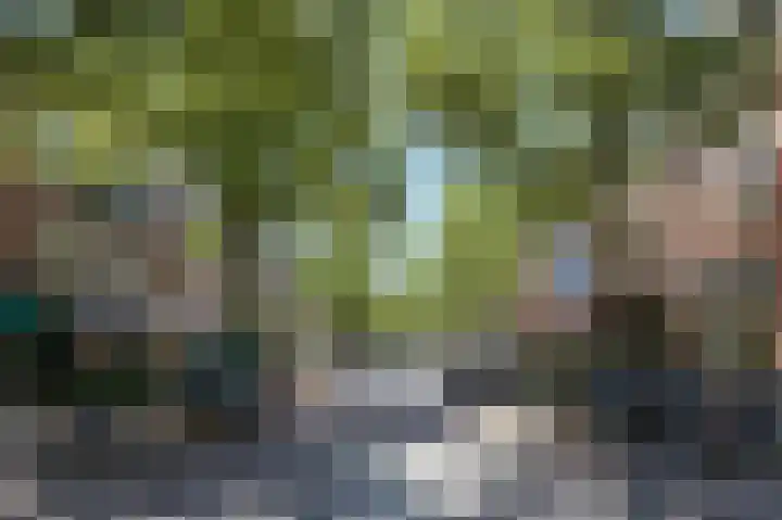 Hacquartstraat 7 2 Amsterdam thumbnail 32