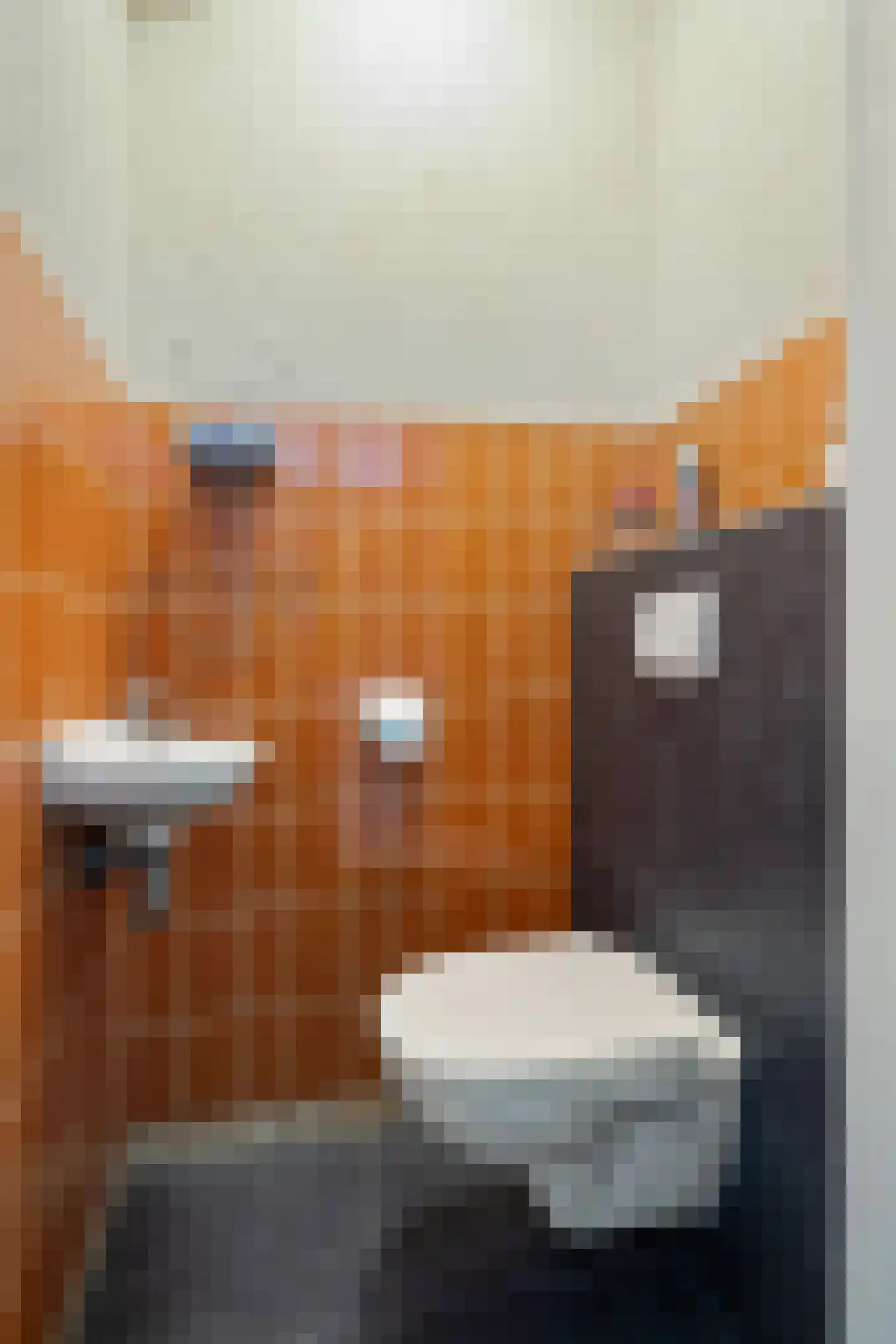 Hademanstraat 11 Heeten thumbnail 11