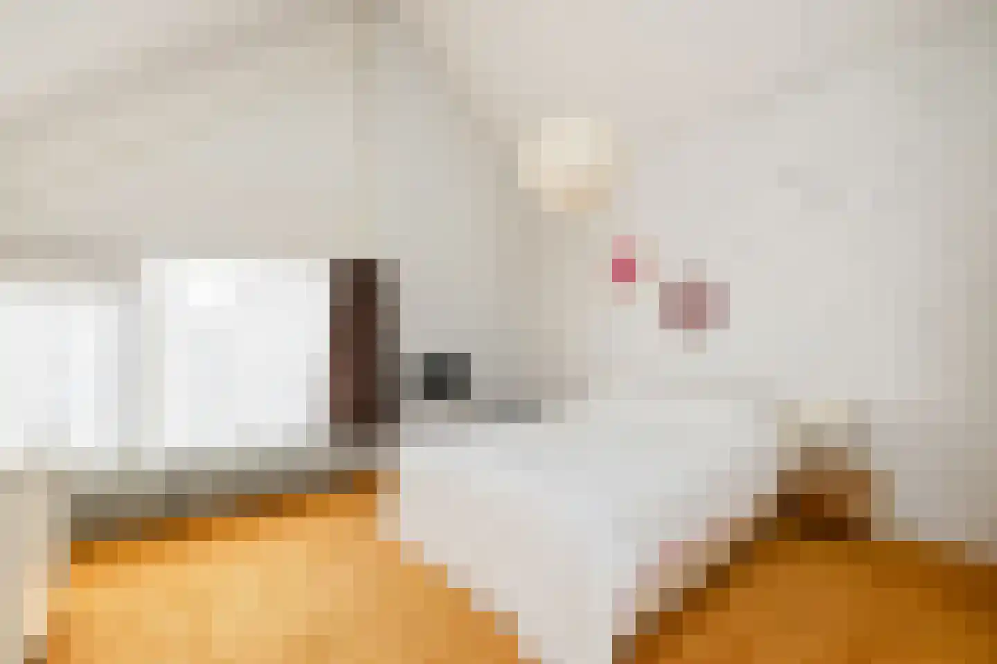Hademanstraat 11 Heeten thumbnail 13