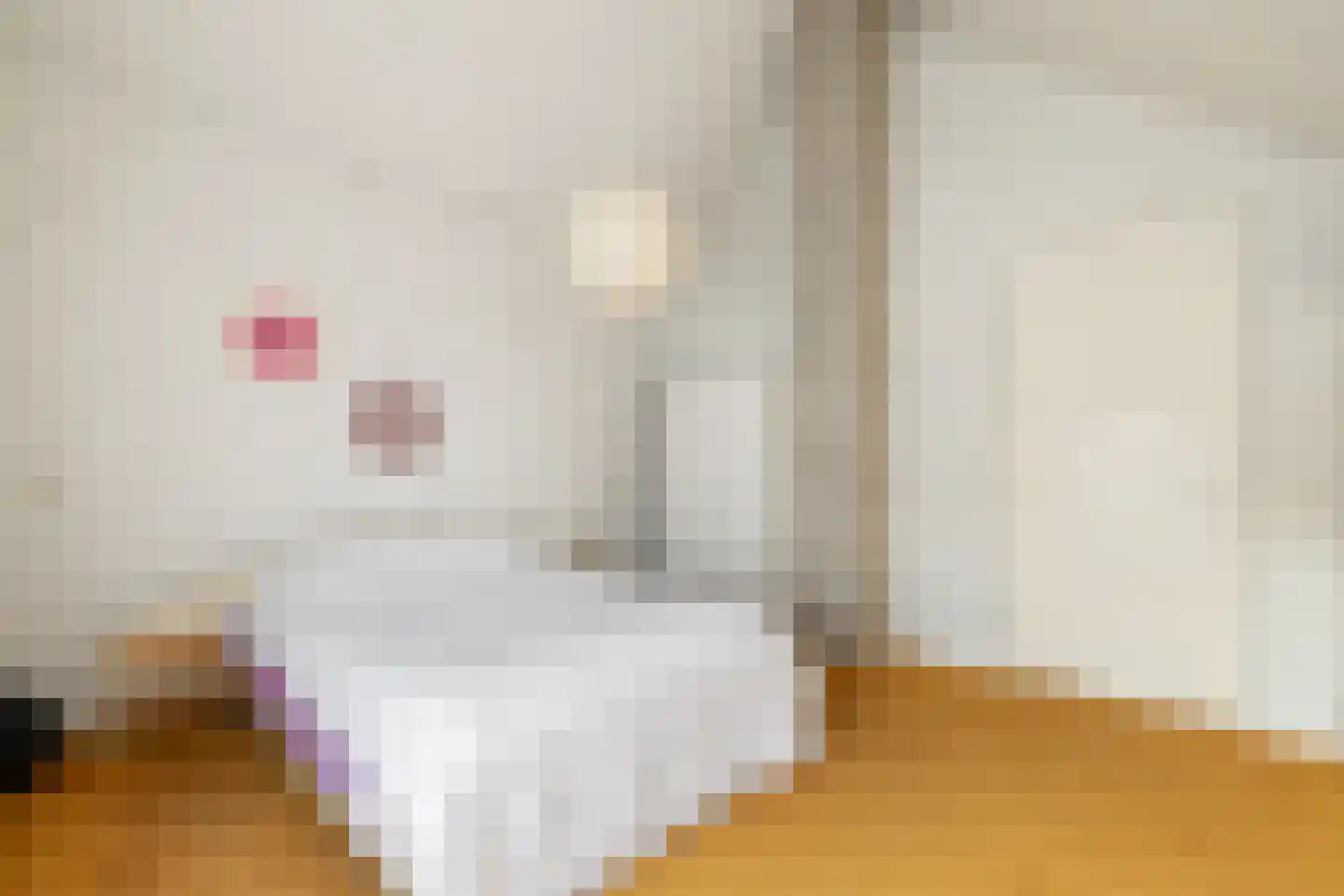 Hademanstraat 11 Heeten thumbnail 14