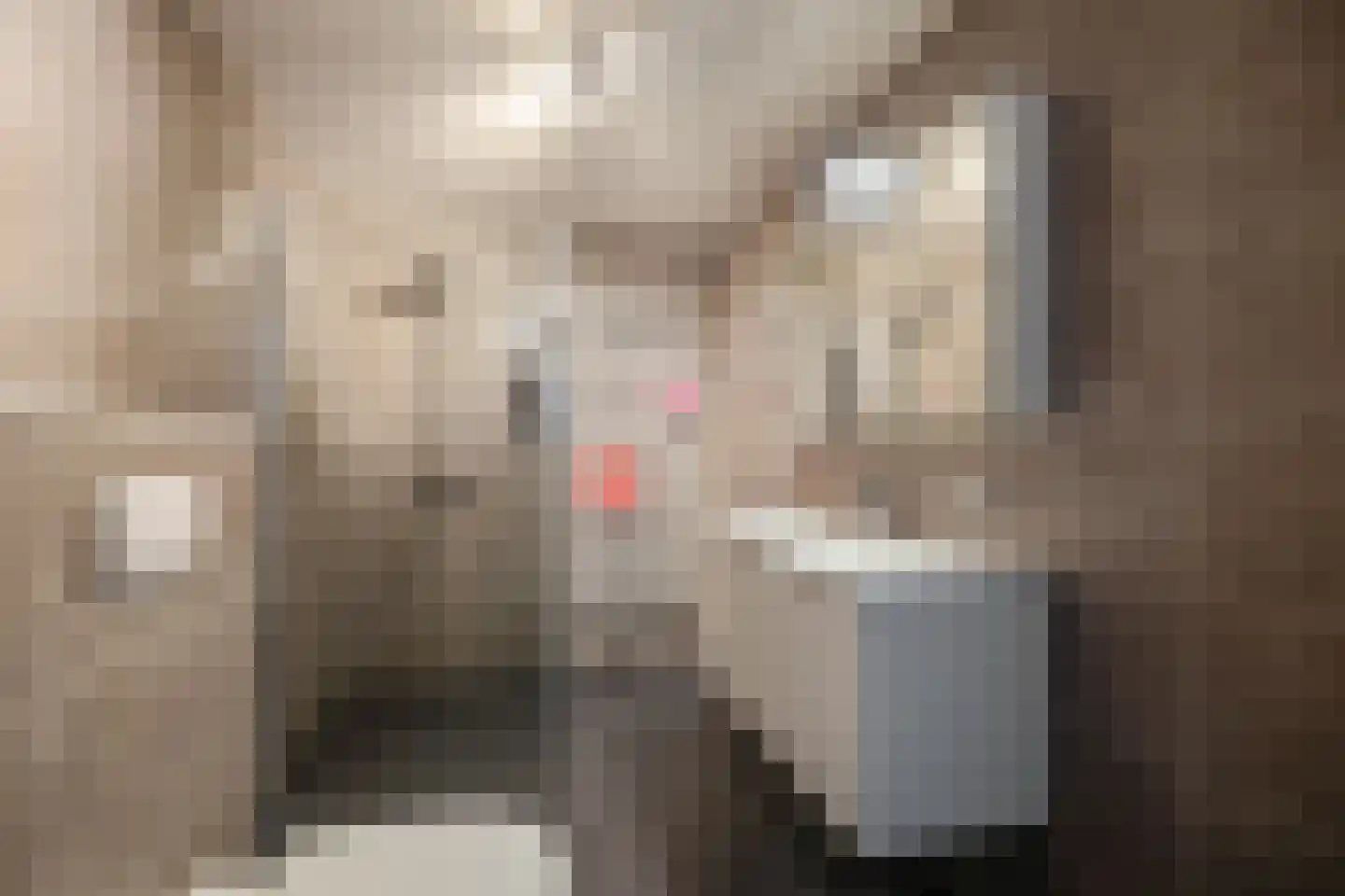 Hademanstraat 11 Heeten thumbnail 17