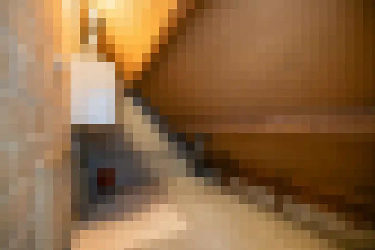 Hademanstraat 11 Heeten thumbnail 21