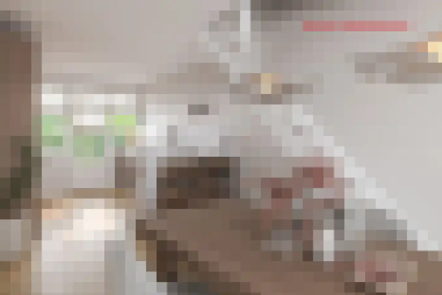Hademanstraat 11 Heeten thumbnail 5