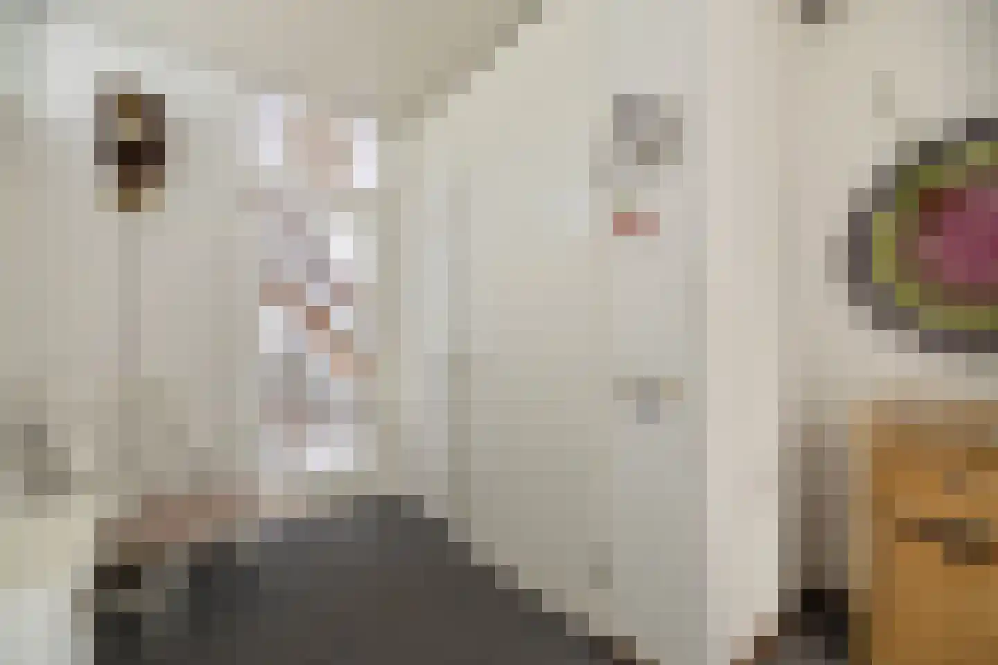 Hademanstraat 11 Heeten thumbnail 9