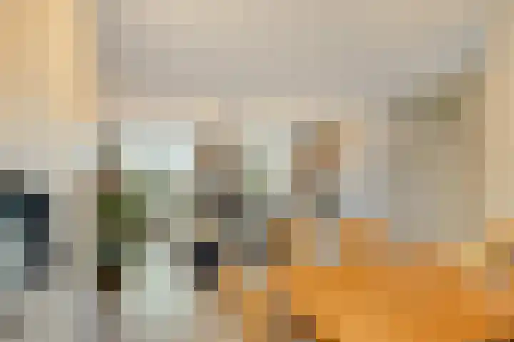 Hadewijchlaan 23 Pijnacker thumbnail 12