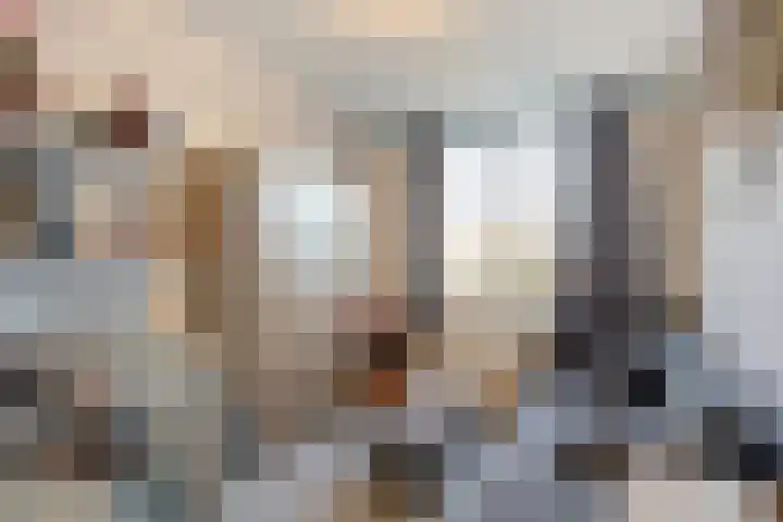 Hadewijchlaan 23 Pijnacker thumbnail 17