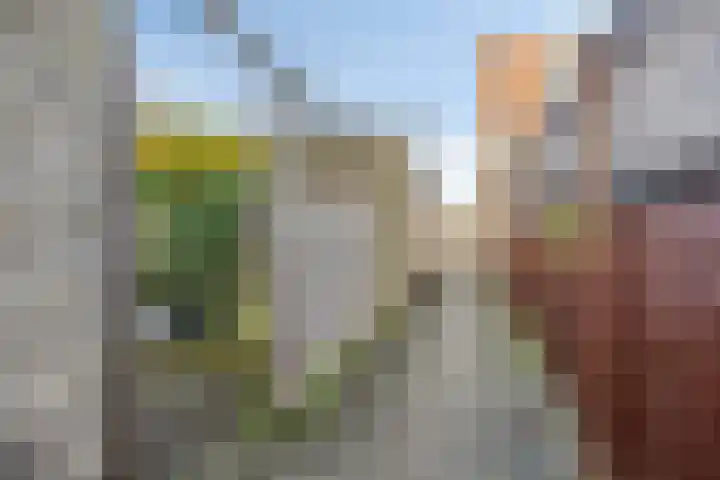 Hadewijchlaan 23 Pijnacker thumbnail 24