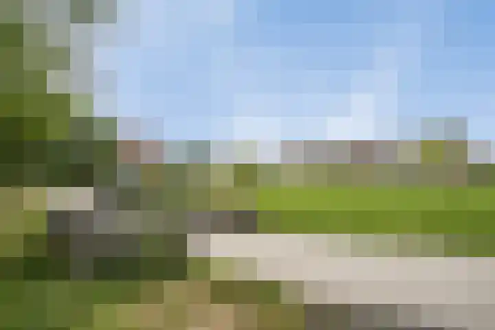 Hadewijchlaan 23 Pijnacker thumbnail 26