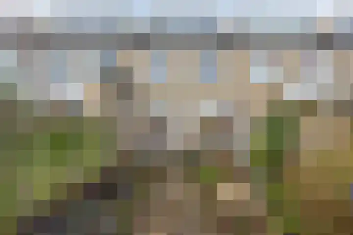 Hadewijchlaan 23 Pijnacker thumbnail 5