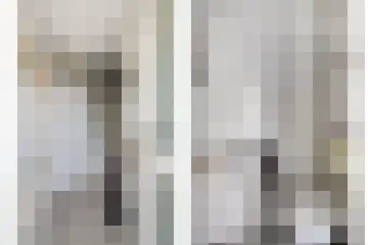 Hadewijchlaan 23 Pijnacker thumbnail 6
