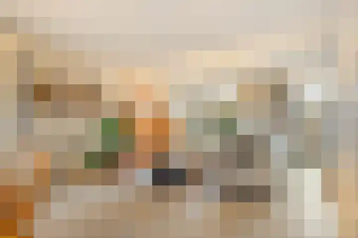 Hadewijchlaan 23 Pijnacker thumbnail 7