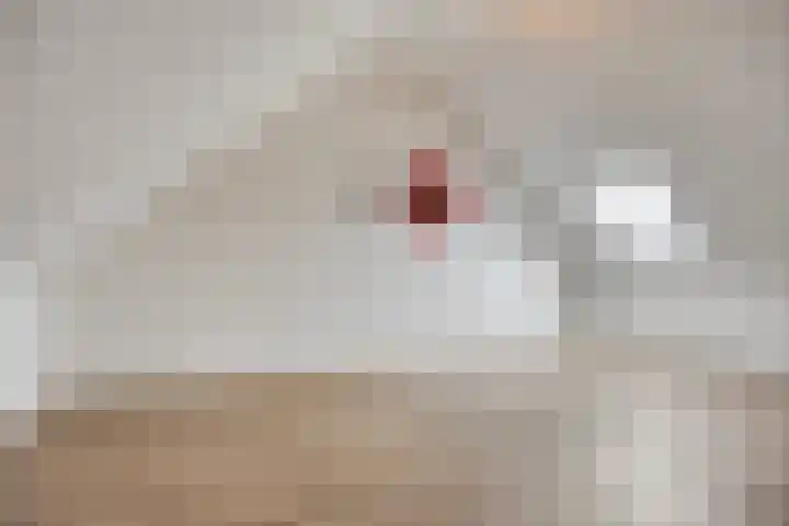 Hadewychstraat 16 Heesch thumbnail 26