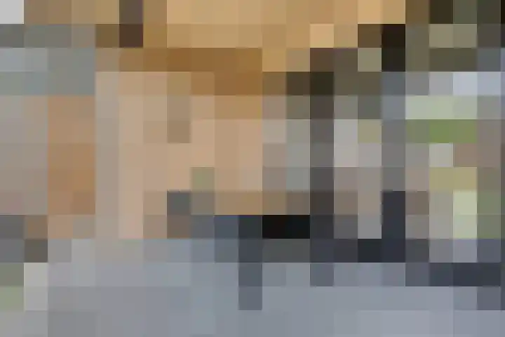 Hadewychstraat 16 Heesch thumbnail 32