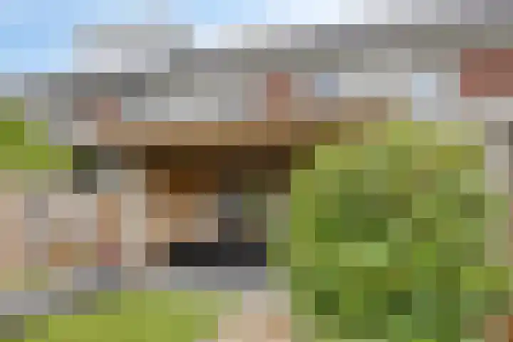 Hadewychstraat 16 Heesch thumbnail 36