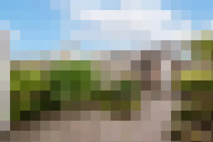 Hadewychstraat 18 Heesch thumbnail 21
