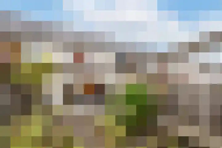 Hadewychstraat 18 Heesch thumbnail 4
