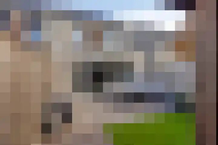 Hadewychstraat 36 Heesch thumbnail 32