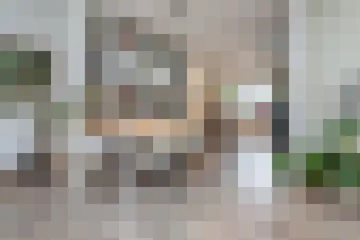 Hadleystraat 18 Aalsmeer thumbnail 11