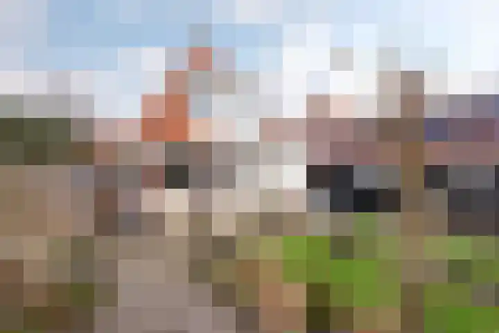 Hadleystraat 18 Aalsmeer thumbnail 6