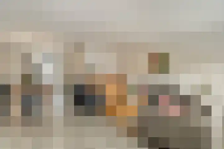 Haeckmate 100 Zwolle thumbnail 11