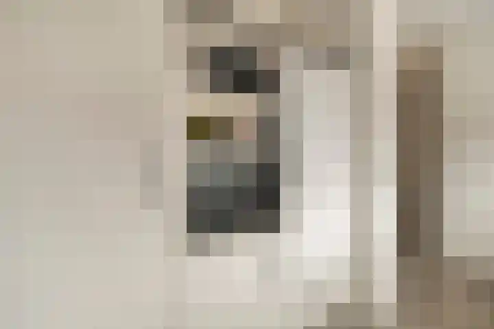 Haeckmate 100 Zwolle thumbnail 14