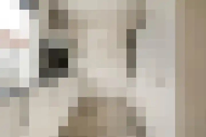 Haeckmate 100 Zwolle thumbnail 15