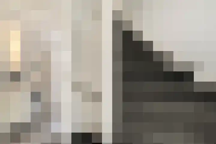Haeckmate 100 Zwolle thumbnail 16