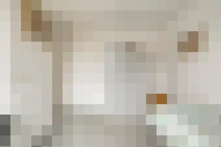 Haeckmate 100 Zwolle thumbnail 23