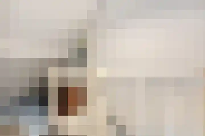 Haeckmate 100 Zwolle thumbnail 27