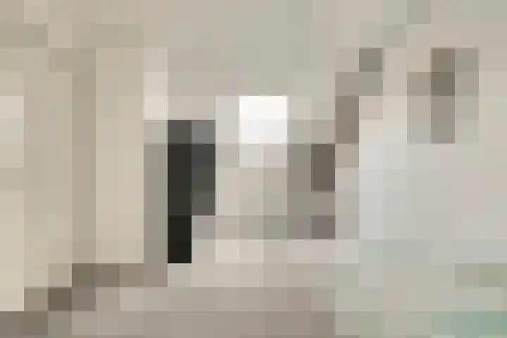 Haeckmate 100 Zwolle thumbnail 29