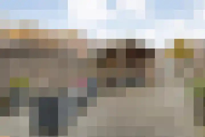 Haeckmate 100 Zwolle thumbnail 35