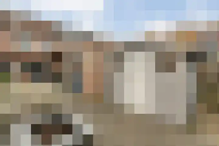 Haeckmate 100 Zwolle thumbnail 37