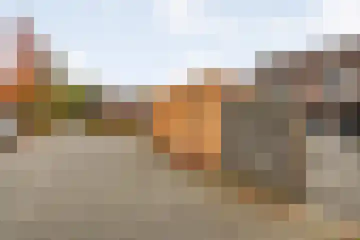 Haeckmate 100 Zwolle thumbnail 38