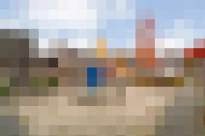 Haeckmate 100 Zwolle thumbnail 40
