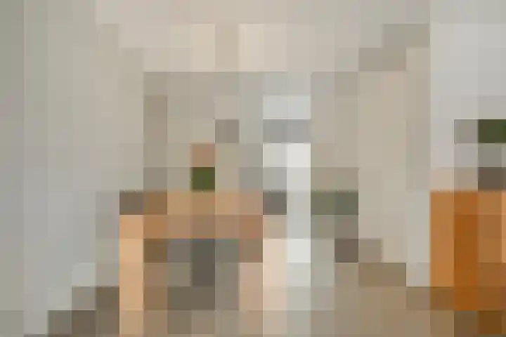 Haeckmate 100 Zwolle thumbnail 6