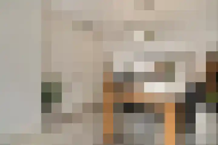 Haeckmate 100 Zwolle thumbnail 7