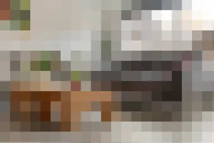 Haeckmate 100 Zwolle thumbnail 9
