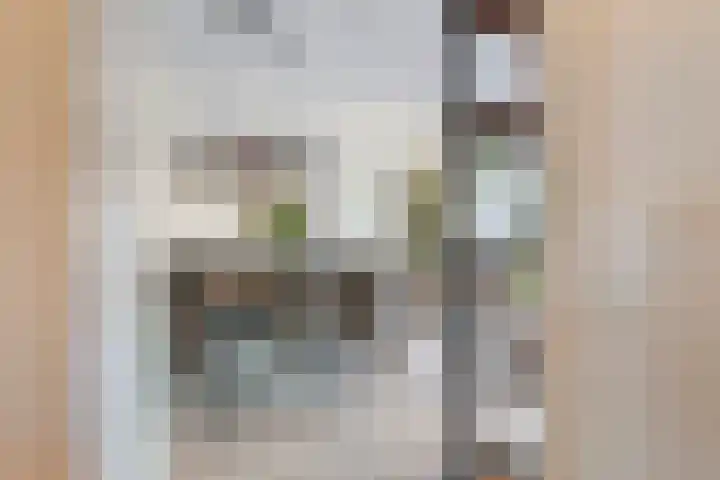 Haeckmate 46 Zwolle thumbnail 11