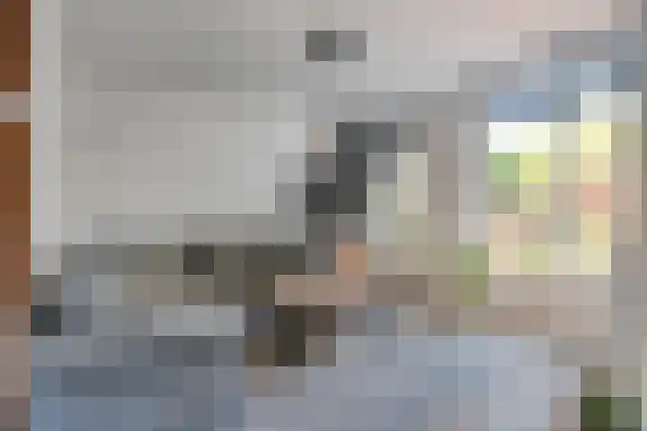 Haeckmate 46 Zwolle thumbnail 12