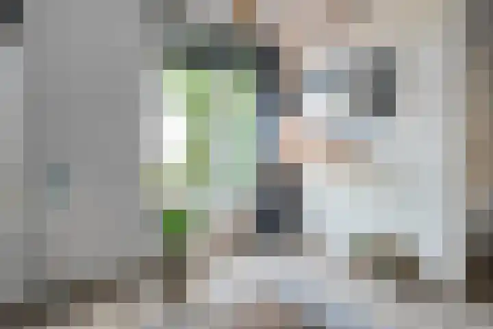 Haeckmate 46 Zwolle thumbnail 14