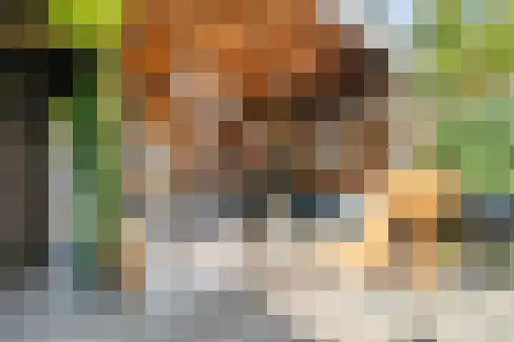 Haeckmate 46 Zwolle thumbnail 36