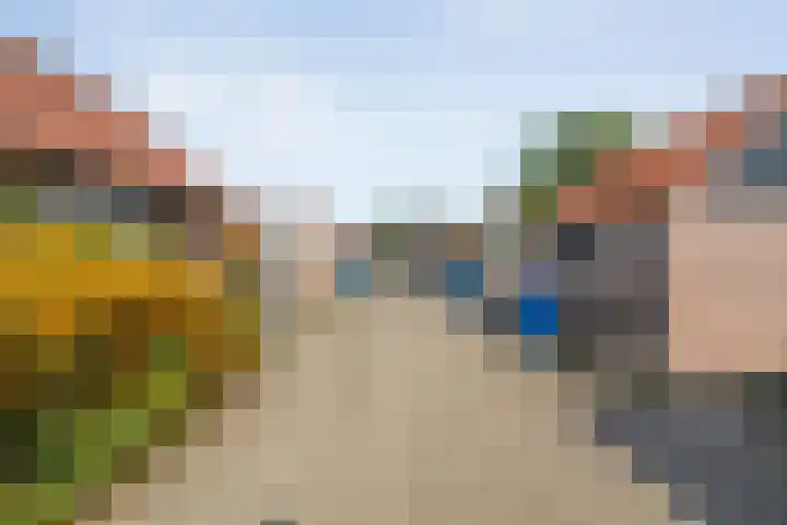 Haeckmate 46 Zwolle thumbnail 39