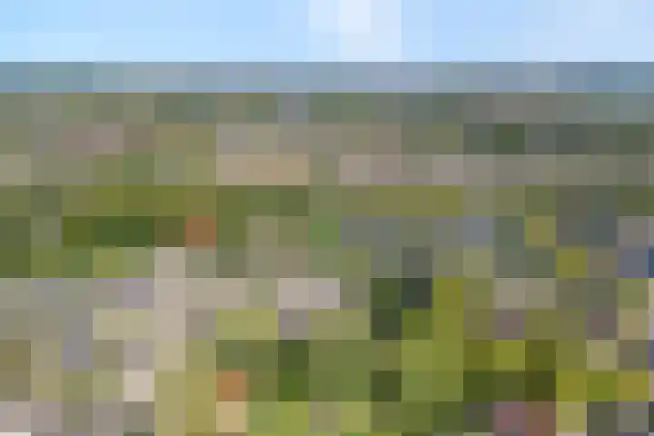 Haeckmate 46 Zwolle thumbnail 44