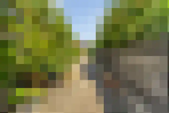 Haeckmate 46 Zwolle thumbnail 7