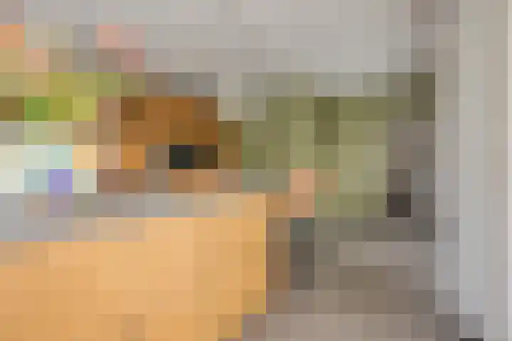 Haefland 22 Brunssum thumbnail 26