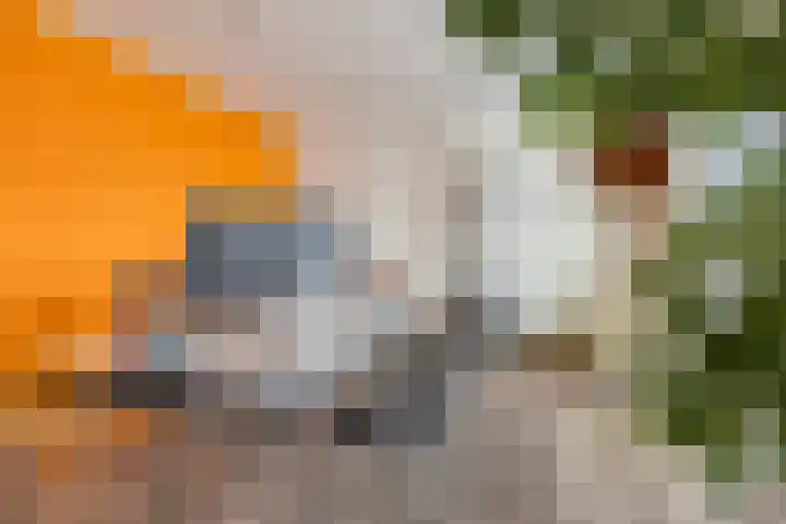 Haefland 22 Brunssum thumbnail 44