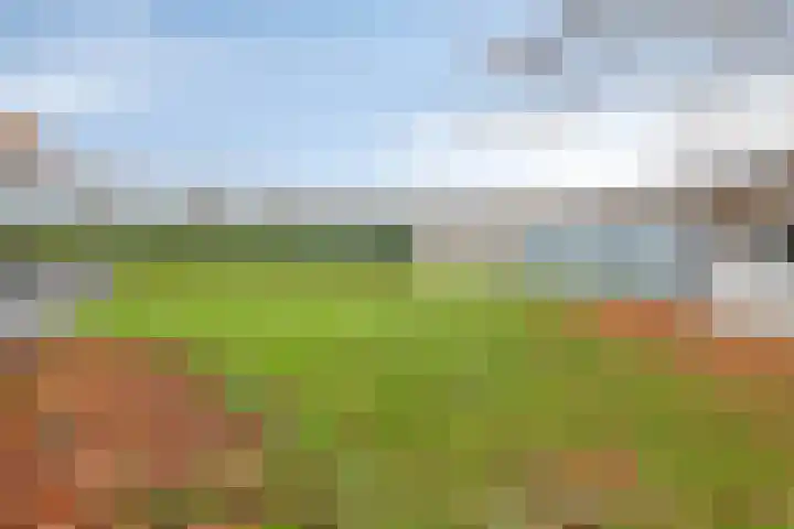 Haefland 22 Brunssum thumbnail 56