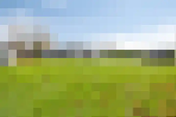 Haefland 22 Brunssum thumbnail 57