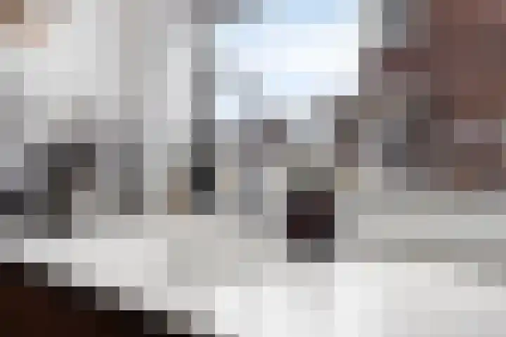 Haelerweg 4 Horn thumbnail 18