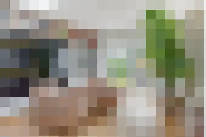 Haelerweg 4 Horn thumbnail 22